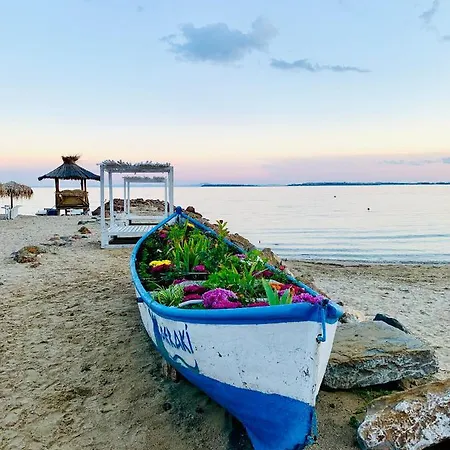 Calabria * Szveti Vlasz